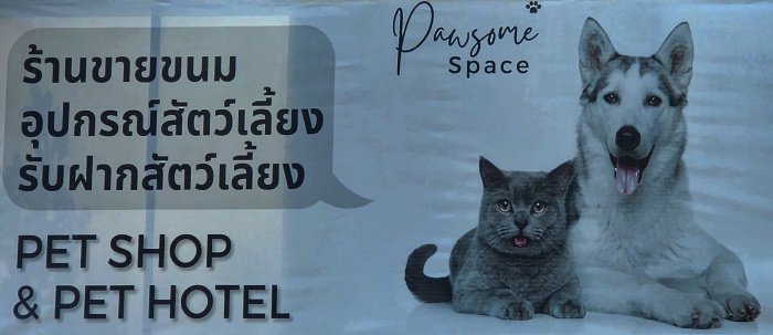 pet-shop-pattaya